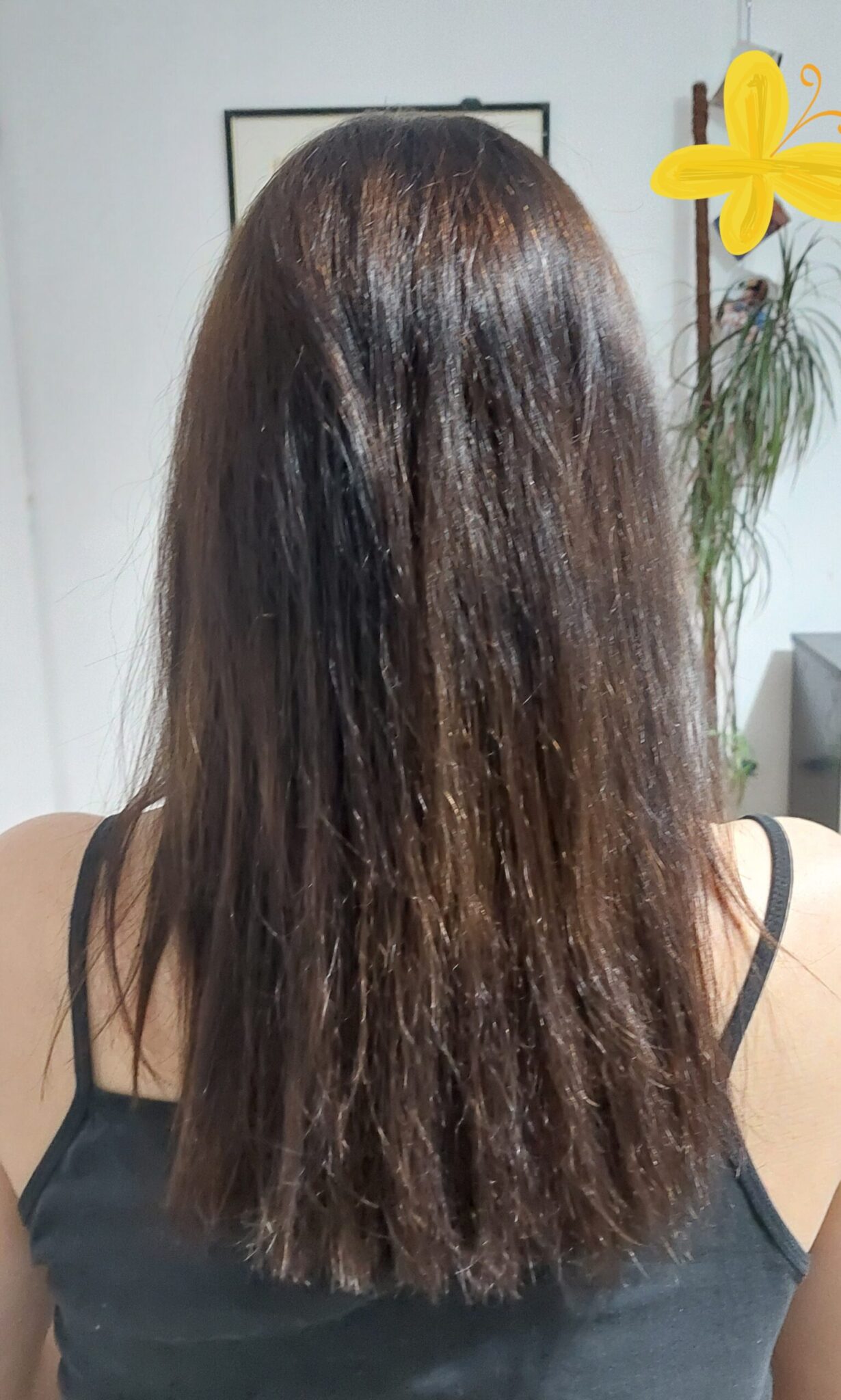 Image #2 from Ana P.