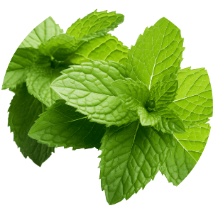 Ulje za oporavak kose